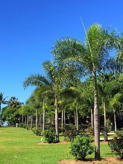 Dunk Island View Caravan Park Wongaling Beach Экстерьер фото
