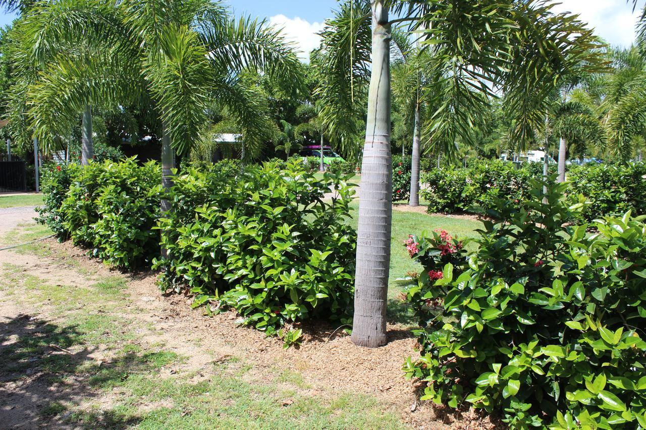 Dunk Island View Caravan Park Wongaling Beach Экстерьер фото